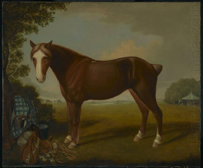 Portrait of a Horse, unknow artist